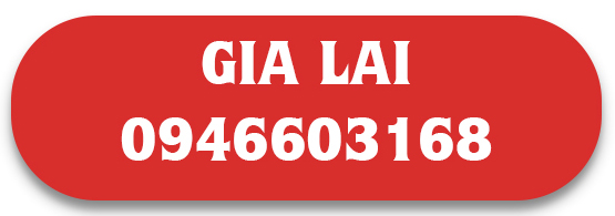 sdt gia lai